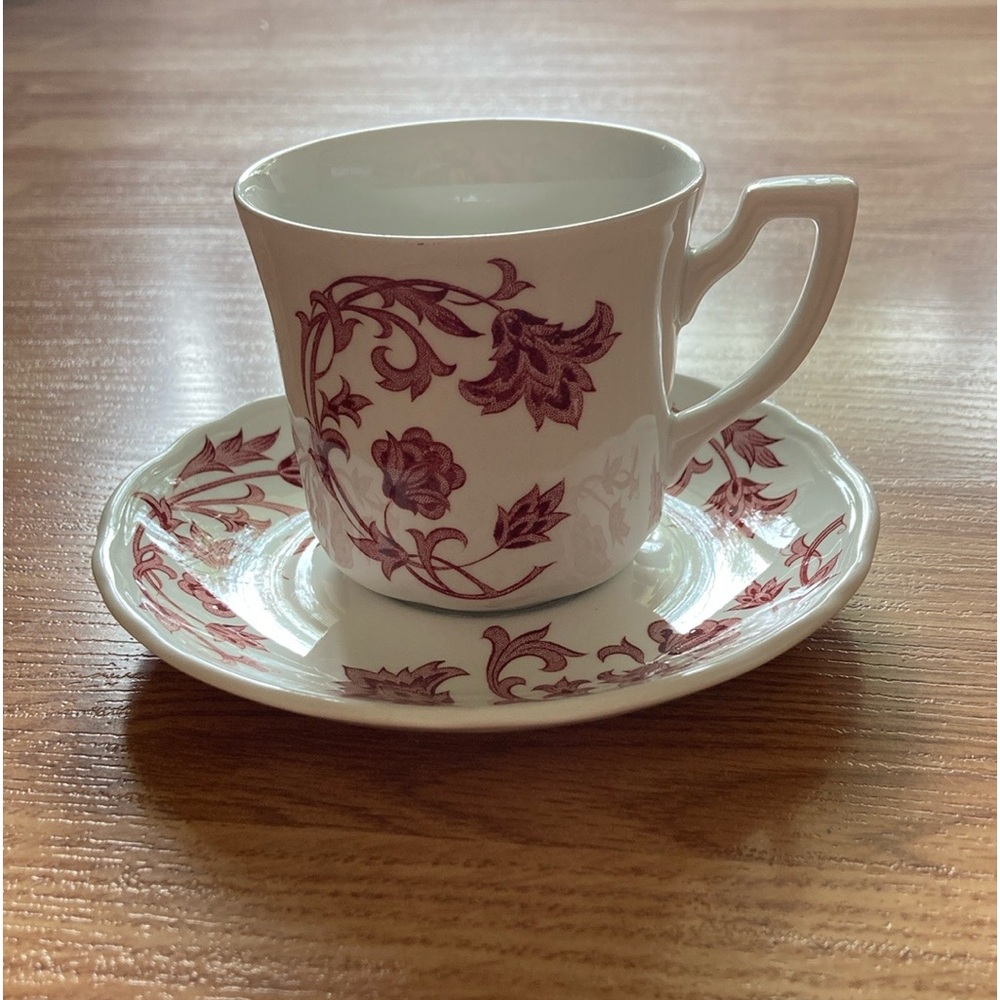 Cup and Saucer Royal Staffordshire | J&G Meakin Windsong Red made in England